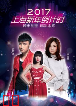 2017上海新年倒计时