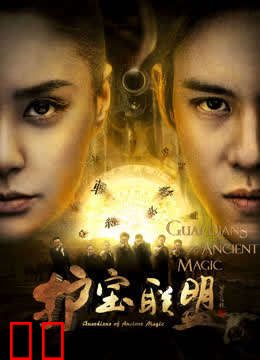 护宝联盟第一季