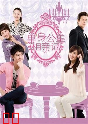 单身公主相亲记 DVD版
