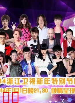 浙江卫视2014新年特别节目