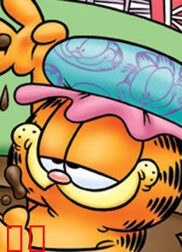 加菲猫和他的朋友们