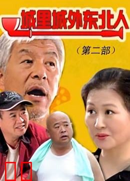城里城外东北人2