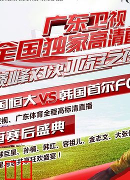 2013亚冠之夜庆典活动