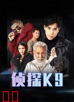 侦探K9