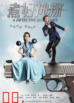 煮妇神探DVD版