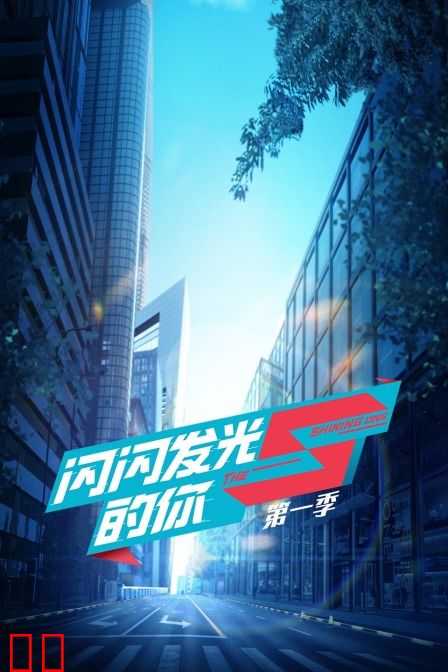 闪闪发光的你 第一季