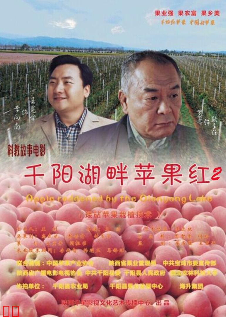 千阳湖畔苹果红2
