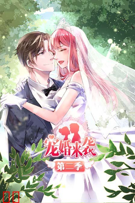 宠婚来袭 第二季