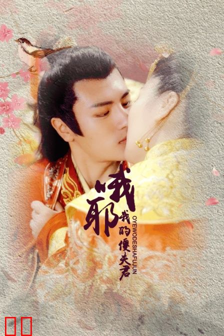 哦耶我的傻夫君