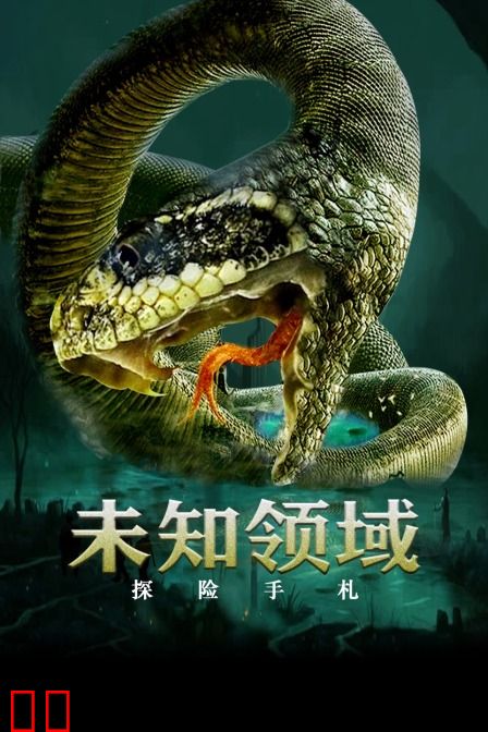 探险手札之未知领域