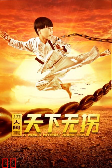 功夫阿宝：天下无拐
