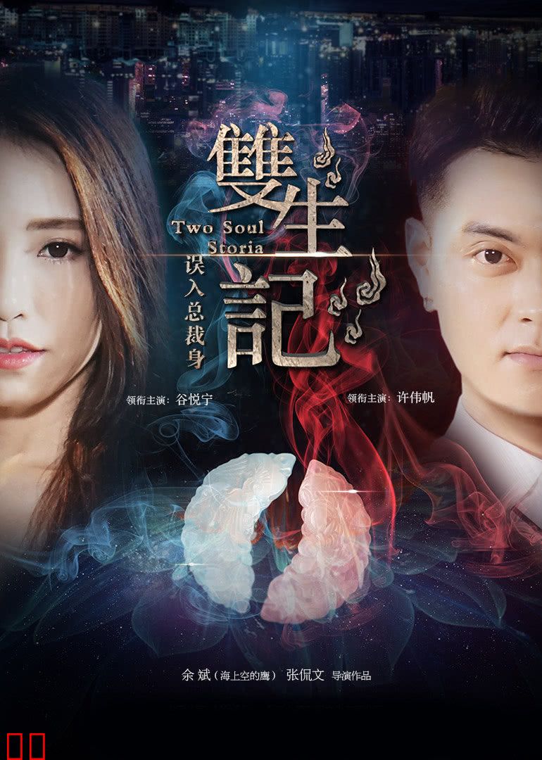 双生记之误入总裁身