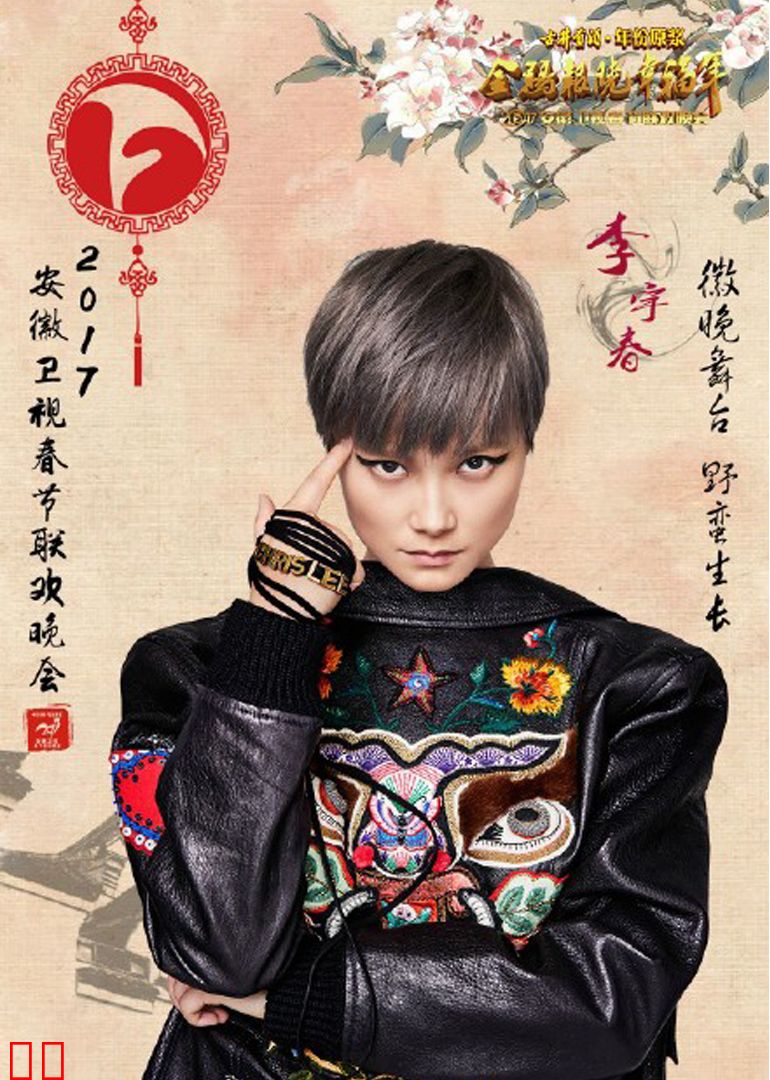 2017鸡年安徽卫视春晚