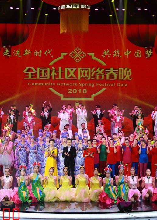 2018狗年湖北社区网络春晚