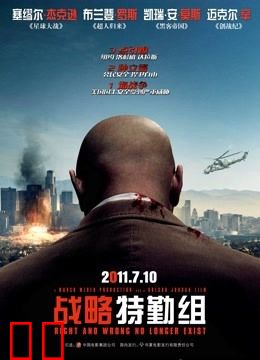 战略特勤组（2010）