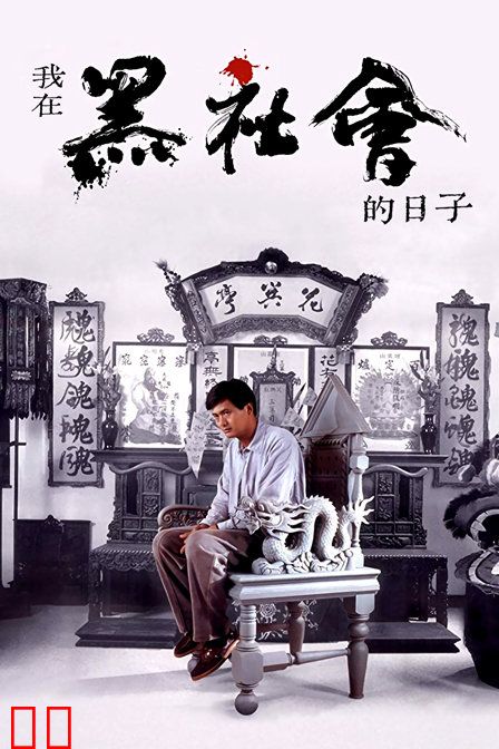 我在黑社会的日子
