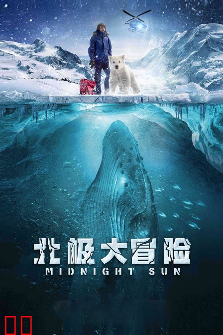 北极大冒险