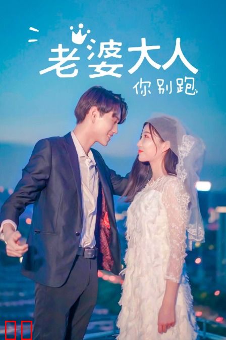 老婆大人你别跑