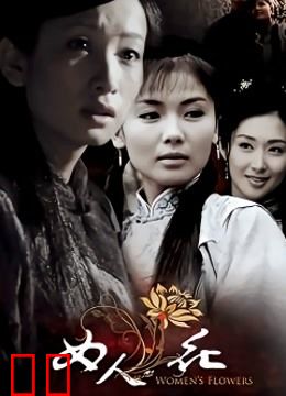 女人花内地版