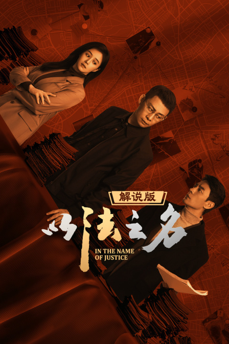 以法之名解说版