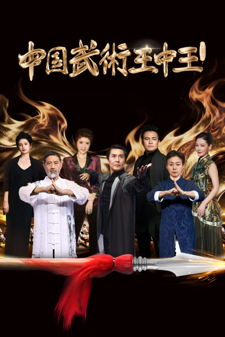 中国武术王中王第二季
